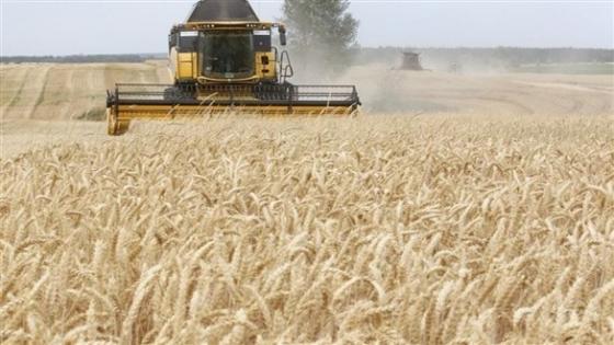 أوكرانيا تقترب من فقدان نصف محاصيلها الزراعية بسبب الحرب