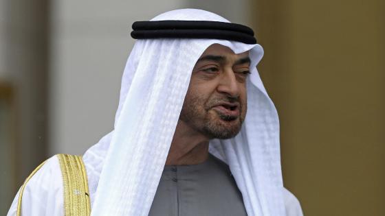 الرئيس الإماراتي يؤكد استفادة بلاده من الأزمات العالمية.. تفاصيل